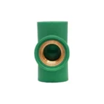 مشترك بسن باننجر (جميع المقاسات)