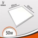 بلاطة ليد فينوس