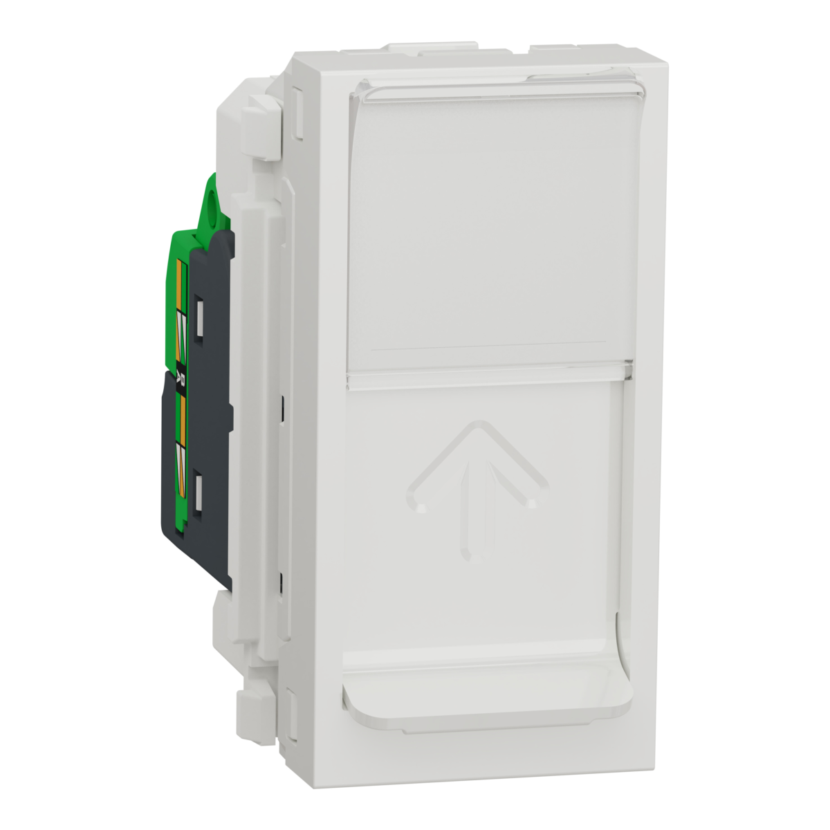 NU341018_IOP-default_WD19_AI-improved_2024_4000