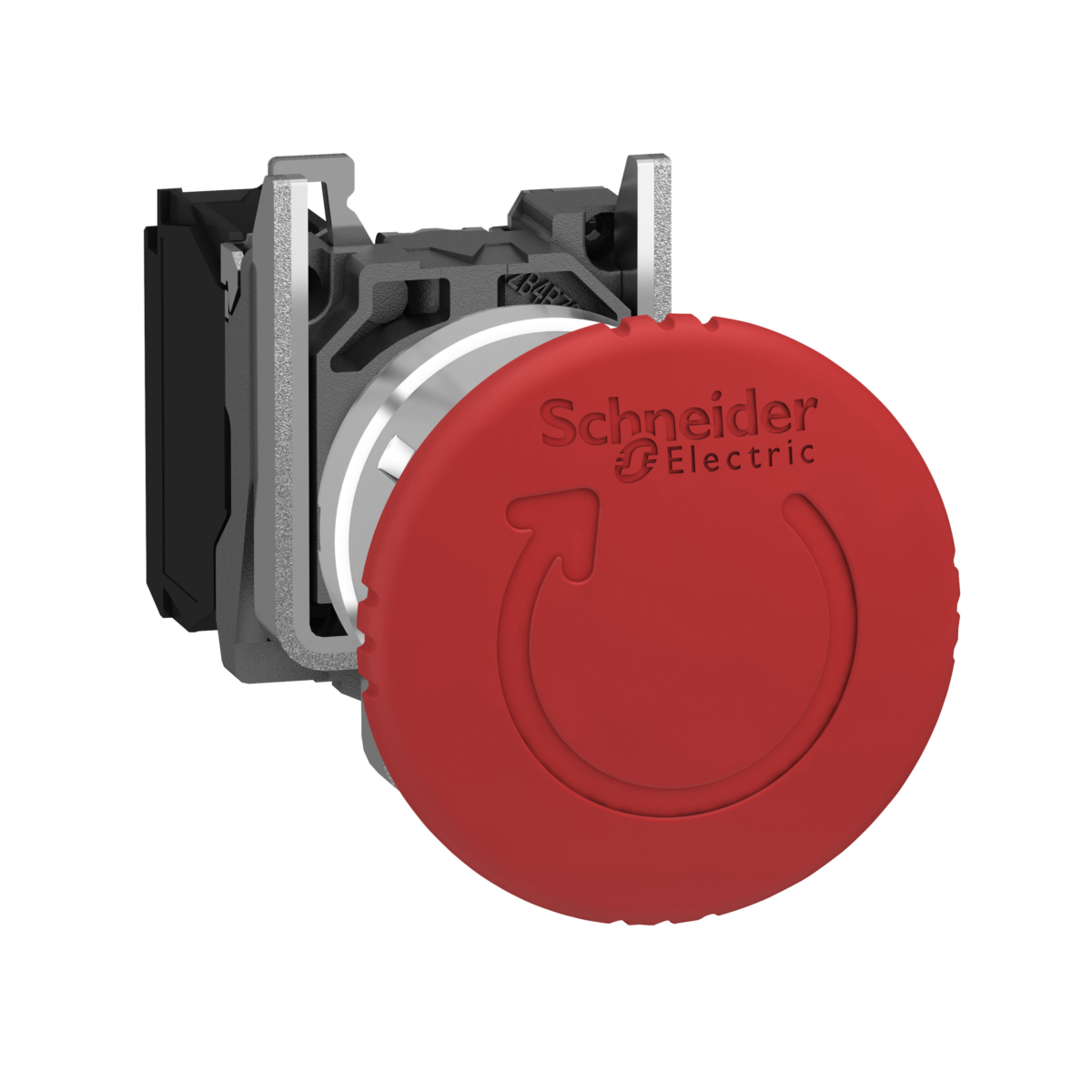 XB4BS8442_main_4000
