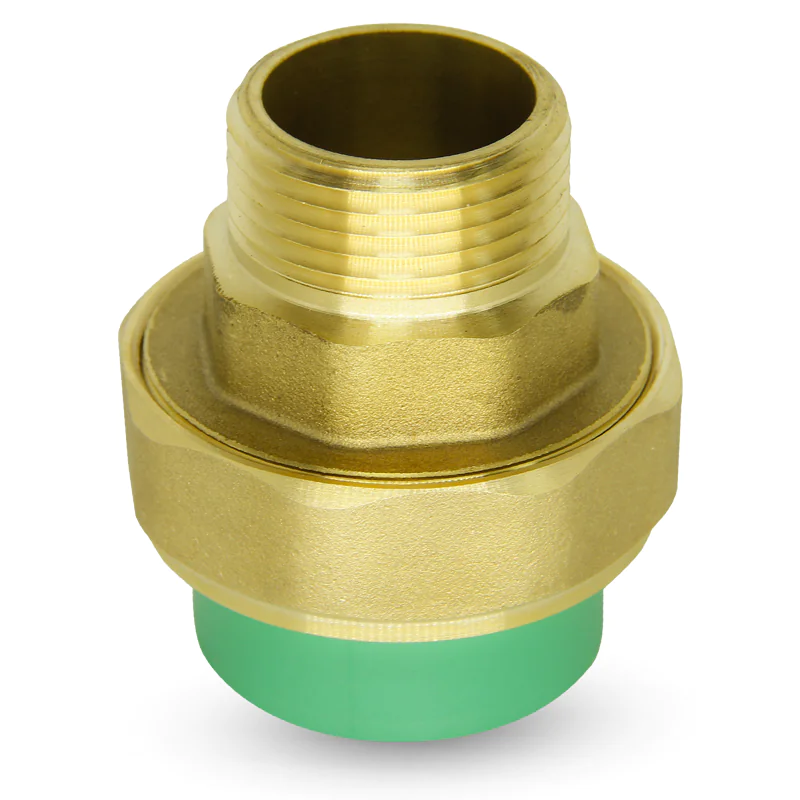 ⁦لاكور تجميع ذكر روفا (جميع المقاسات)⁩ - الصورة ⁦2⁩