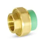 لاكور تجميع انثي باننجر (جميع المقاسات)