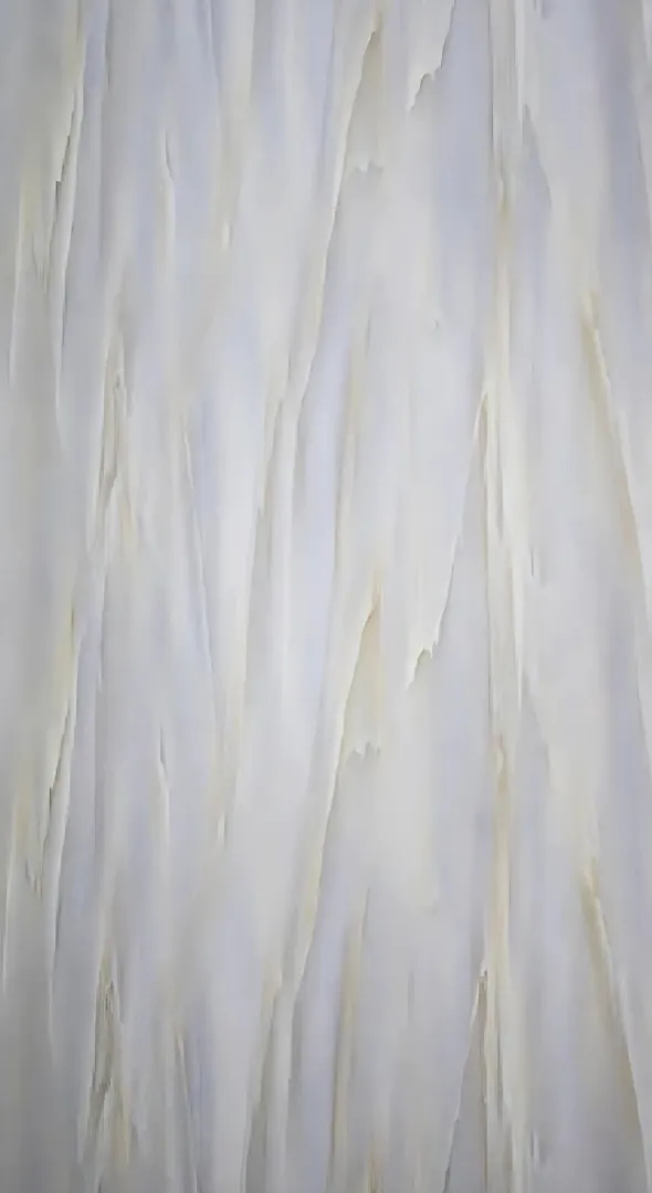 ⁦بديل لوح ناعم⁩ - الصورة ⁦1⁩