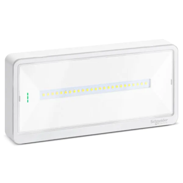شنايدر إليكتريك مصباح الطوارئ EXIWAY LIGHT، مدة اختيار حتى 250 لومن، IP65 ،LED